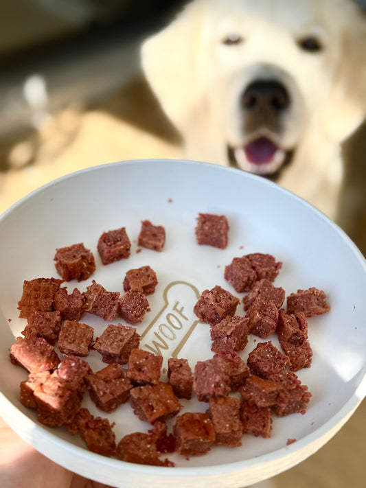 Dog Food Subscription (2 week)