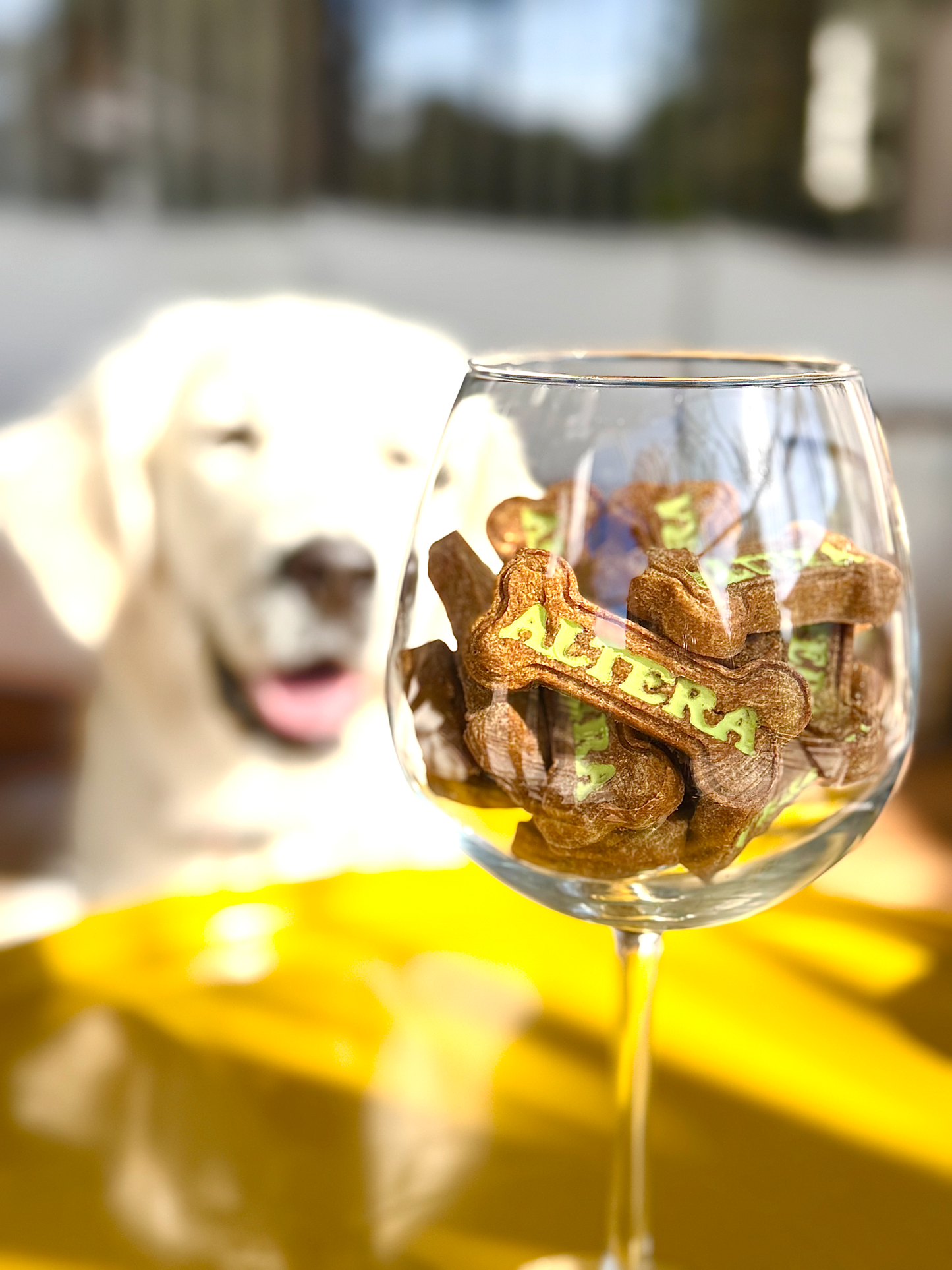 Dog Food Monthly Subscription